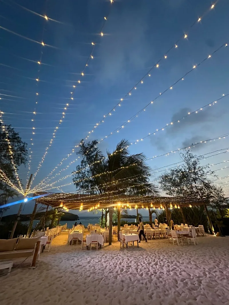 Strings of festoon lights fanning out over tables laid on the sand at dusk, with a palm tree and the sea behind.
